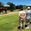 John looking at Lady Sharapova with Darren Beadman and Steve Allen